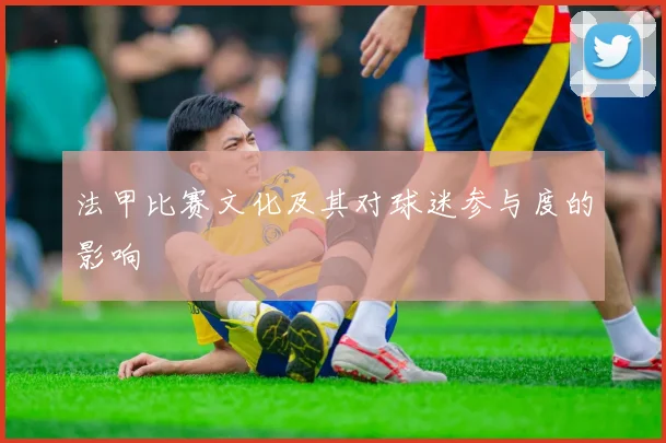 法甲比赛文化及其对球迷参与度的影响