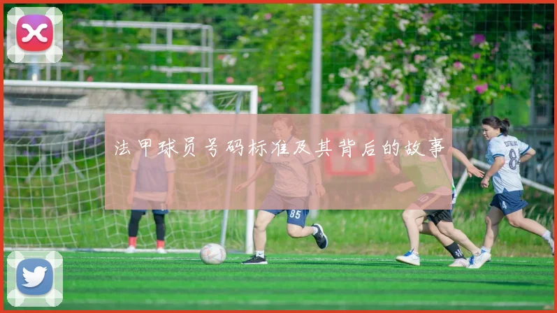 法甲球员号码标准及其背后的故事