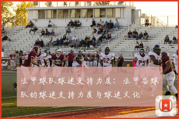 法甲球队球迷支持力度：法甲各球队的球迷支持力度与球迷文化