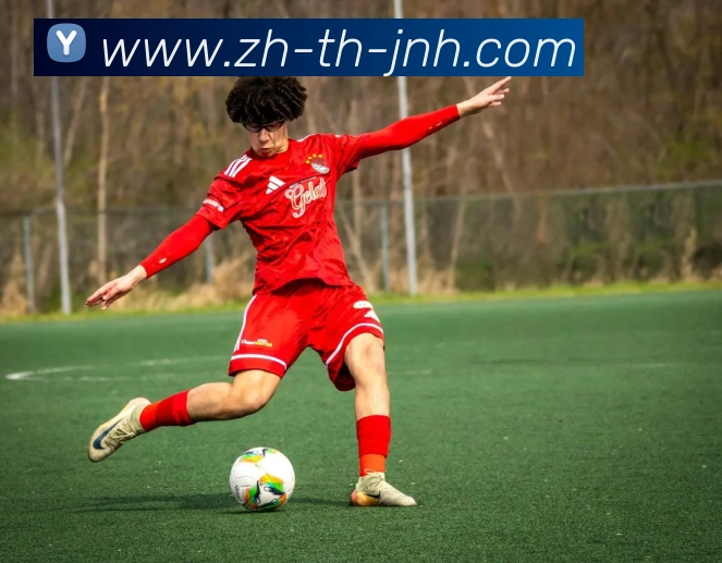 金年会体育平台生态图